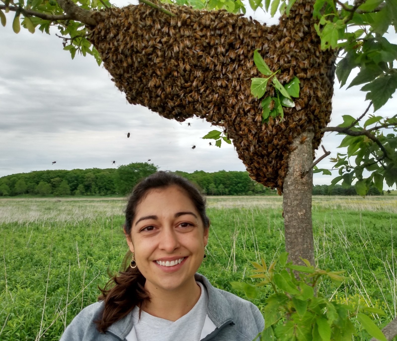 heck swarm head shot